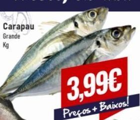 Belita Peixe promoção