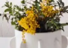 Vaso el corte inglés