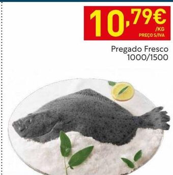 Recheio Peixe promoção