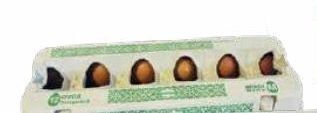 Ovos