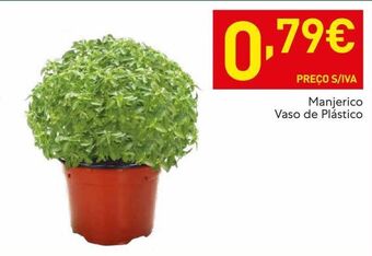 Plantas