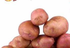 Batatas