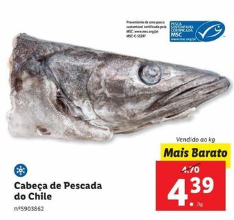 Lidl Peixe promoção