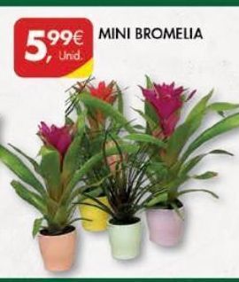 Pingo Doce Plantas promoção