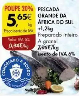 Pescada grande da áfrica do sol