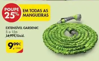 Pingo Doce Mangueira promoção