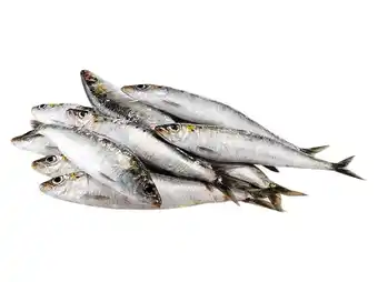 Sardinha nacional auchan congelada kg