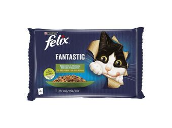 Comida húmida  gato felix