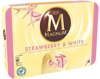 Gelado magnum