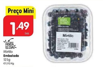 Mirtilo Embalado 125g