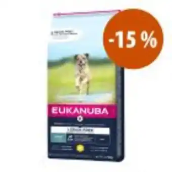 Eukanuba grain free 12 kg ração: 15 % de desconto!