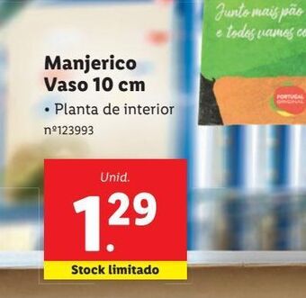Lidl Plantas promoção