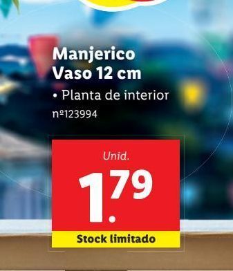 Lidl Plantas promoção