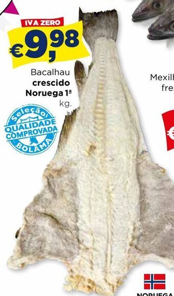 Bolama Bacalhau promoção