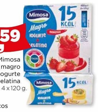 Bolama Iogurte mimosa promoção