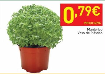 Recheio Plantas promoção