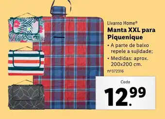 Livarno HomeⓇ Manta XXL para Piquenique
