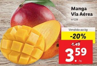 Lidl Manga promoção