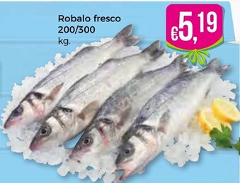 Bolama Robalo Fresco 200/300kg promoção