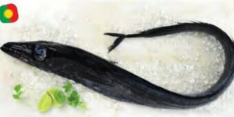 Continente Peixe Espada Preto promoção
