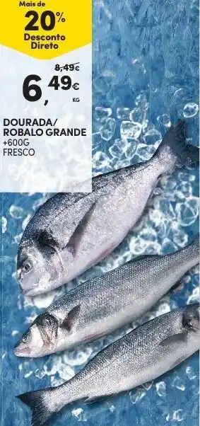 Continente Dourada/Robalo Grande +600g promoção