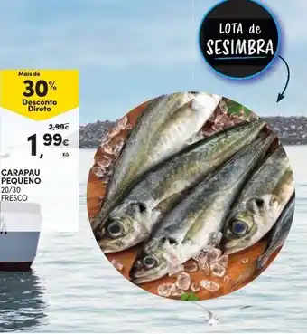 Continente Caparu Pequeno 20/30 promoção