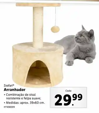 Arranhador
