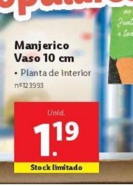 Lidl Plantas promoção