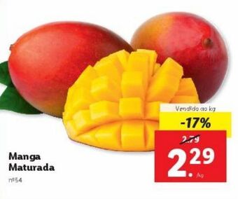 Lidl Manga promoção