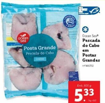 Lidl Peixe ocean sea promoção