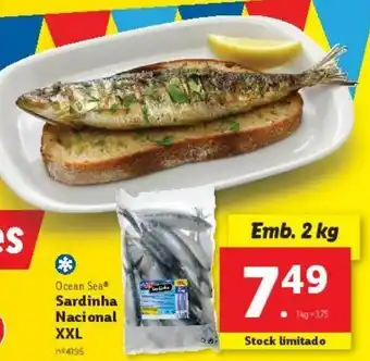 Lidl Sardinhas ocean sea promoção