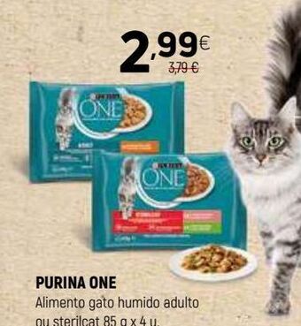 Ração para gatos purinaone