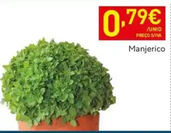 Manjerico