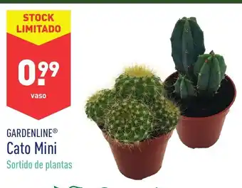 ALDI Cato Mini promoção