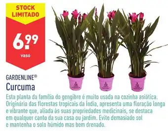 ALDI Curcuma promoção