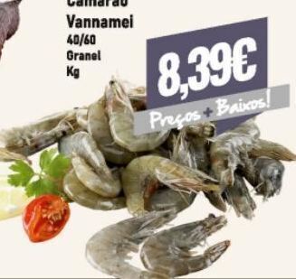 Belita Camarão promoção
