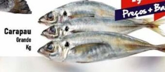 Belita Peixe promoção