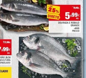 Dourada e Robalo Grande +600g