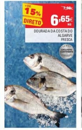 Dourada da Costa do Algarve