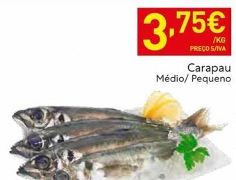 Recheio Peixe promoção