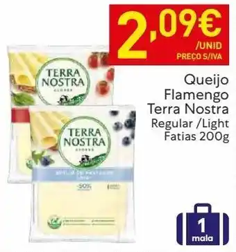 Queijo fatiado terra nostra