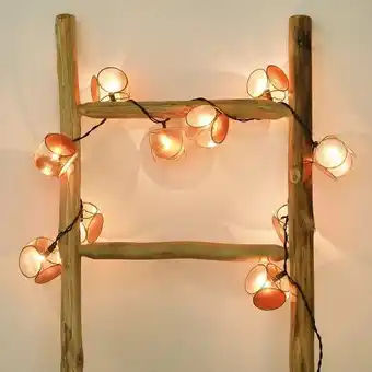 Mini lanterna concha (conjunto 10)