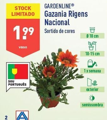 ALDI Plantas com flores promoção