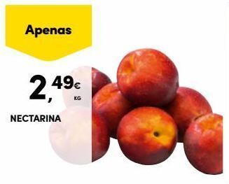 Continente Bom dia Nectarina promoção