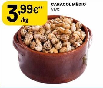 Caracóis
