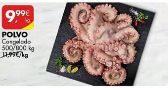 Pingo Doce POLVO Congelado 500/800 kg promoção