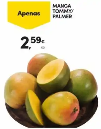 Continente Bom dia MANGA TOMMY/ PALMER promoção