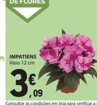 E.Leclerc Flores promoção
