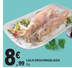 E.Leclerc Lula descongelada promoção