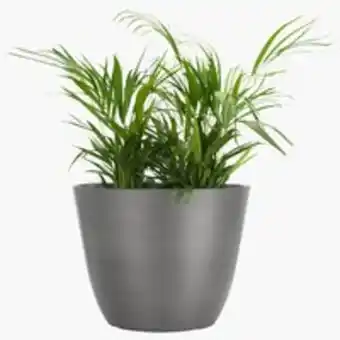 JYSK Vaso jardim hveps u00d853xa41 cinzento promoção